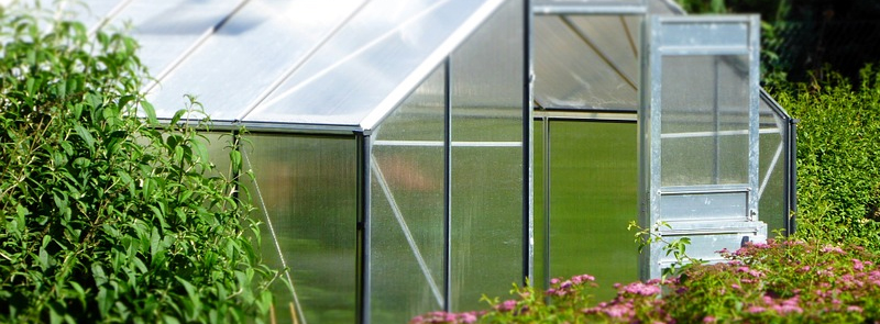 greenhouse